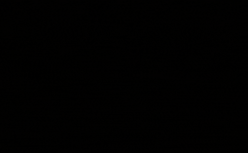 molch banner gif